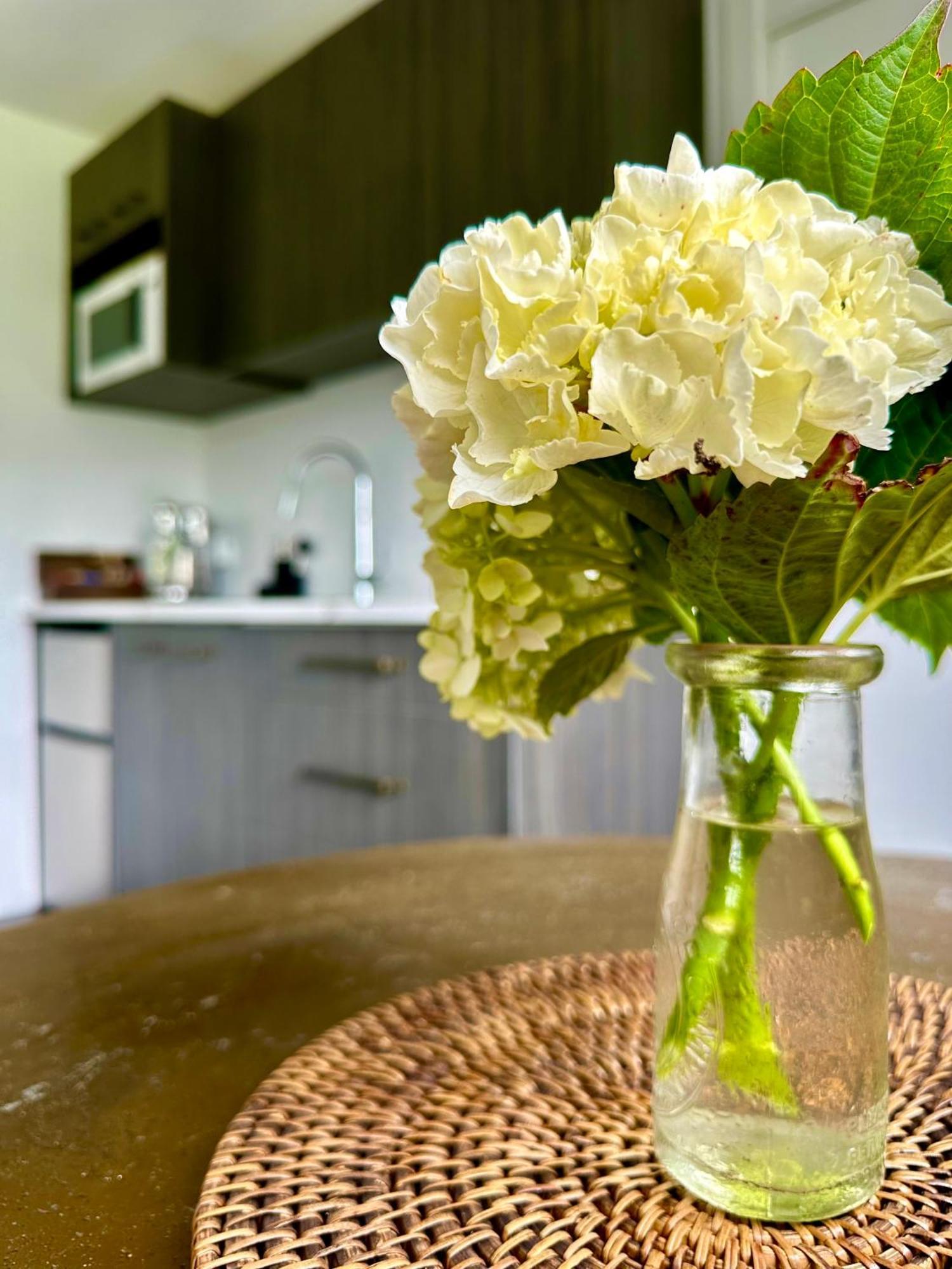 Matamata Country B&B Bagian luar foto