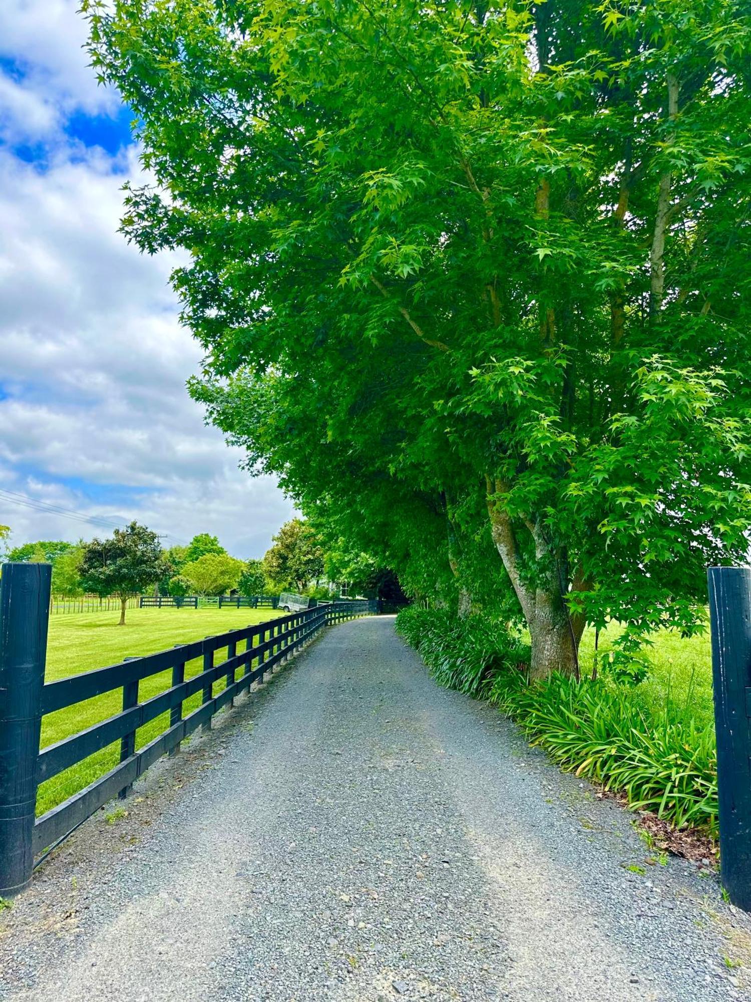 Matamata Country B&B Bagian luar foto