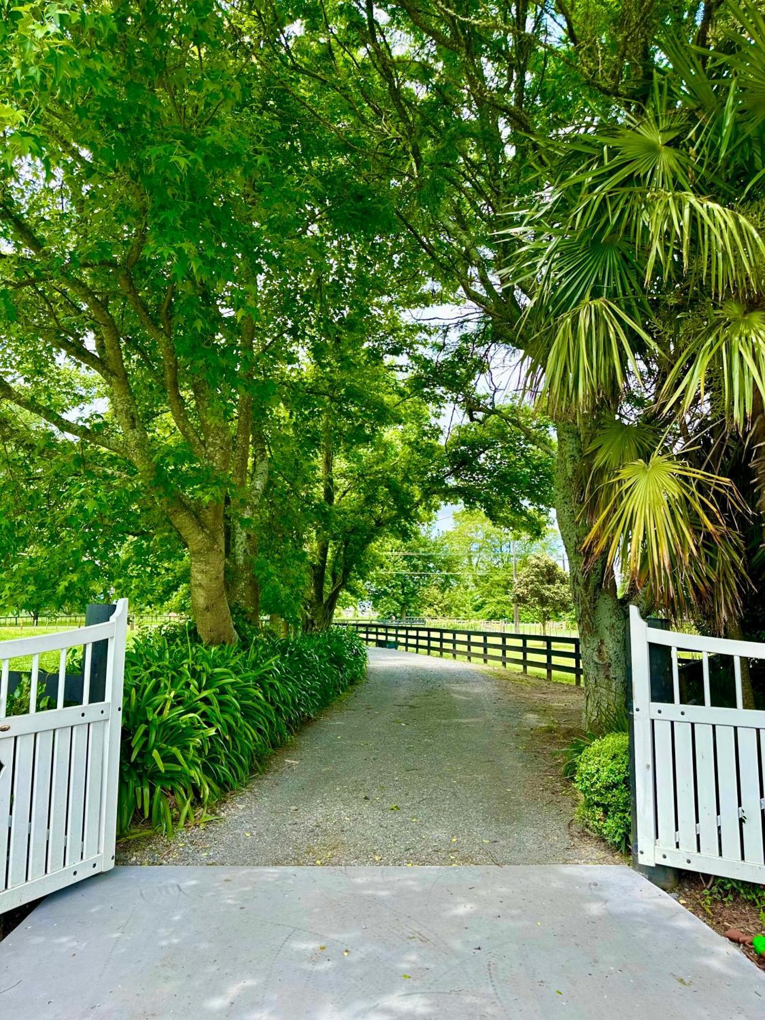 Matamata Country B&B Bagian luar foto